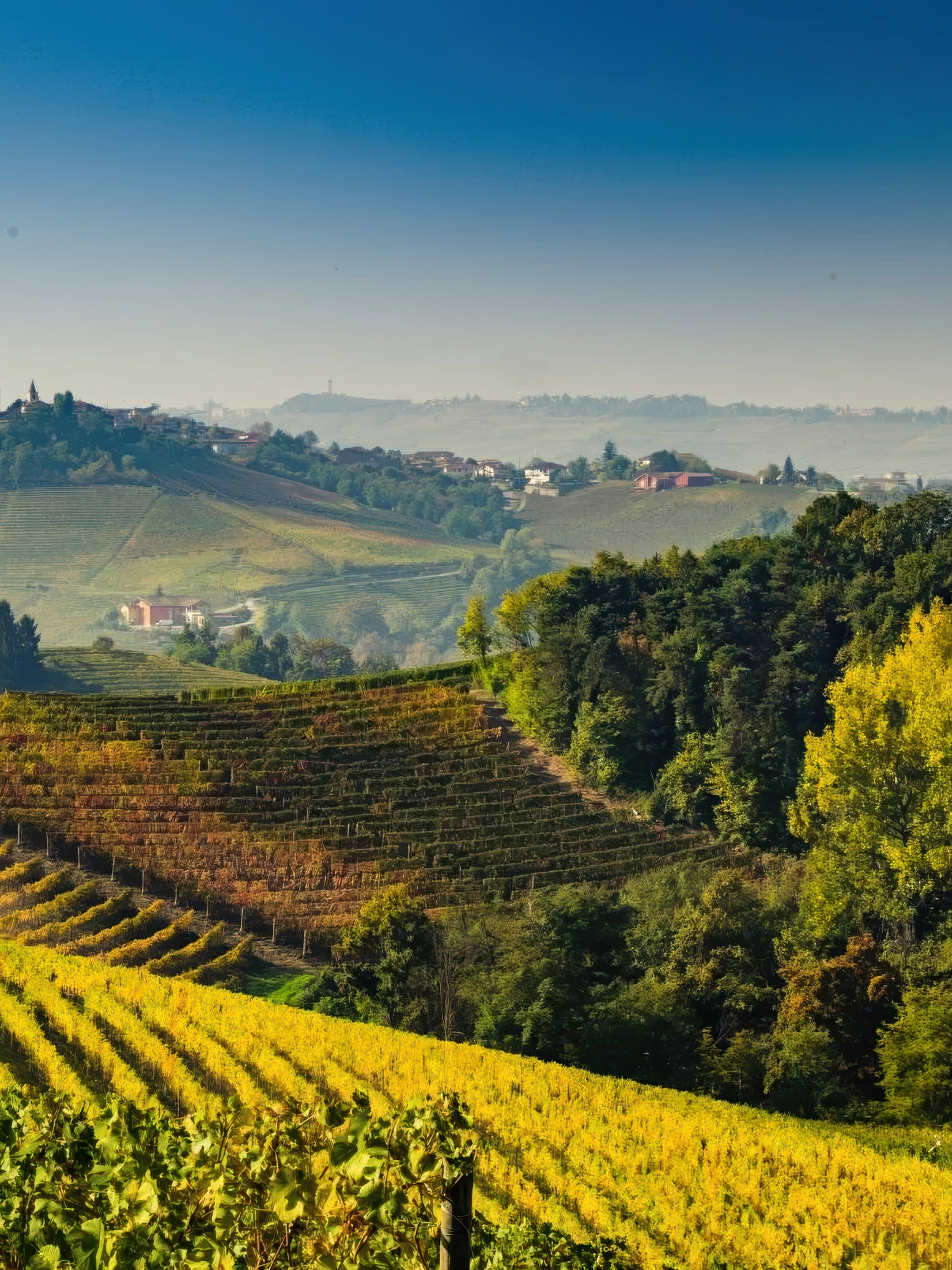 foto23-la storia-roerosanseverino