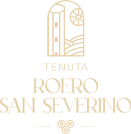 logo 266x271-light-roerosanseverino